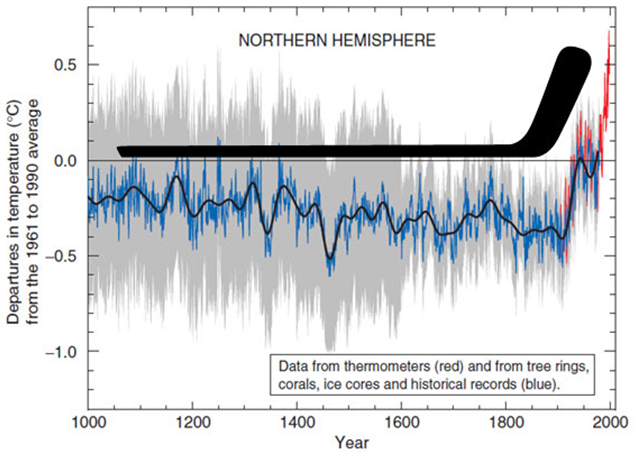 http://www.justfacts.com/images/globalwarming/hockey_stick_visual.PNG