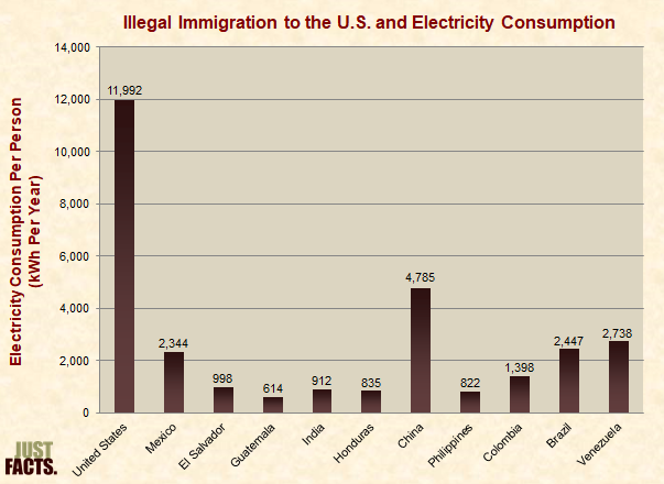 Illegal Immigration to the U.S. and Electricity Consumption 