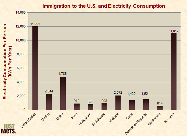 Immigration to the U.S. and Electricity Consumption 