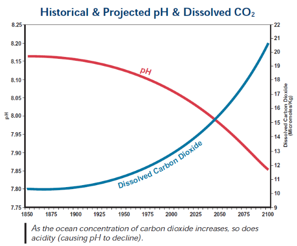 Historical & Projected pH & Dissolved CO2 