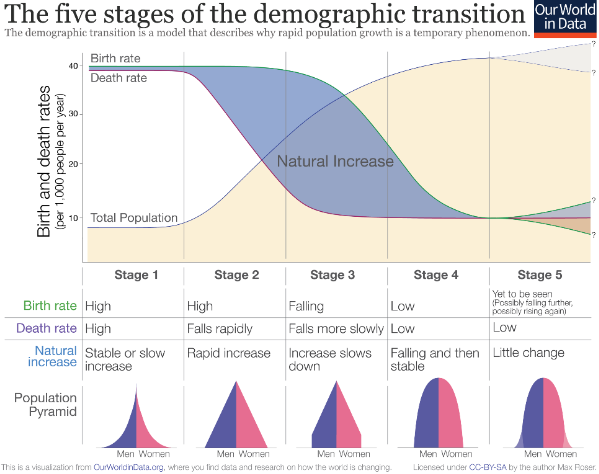 Demographic Transition Stages 